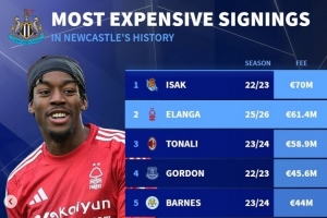 开云-德转列纽卡队史引援榜：伊萨克7000万，伊兰加、托纳利、戈登在列